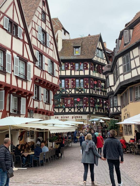 Un groupe de personnes marchant dans une rue avec des bâtiments dans l'établissement Historical town center spacious flat, à Colmar