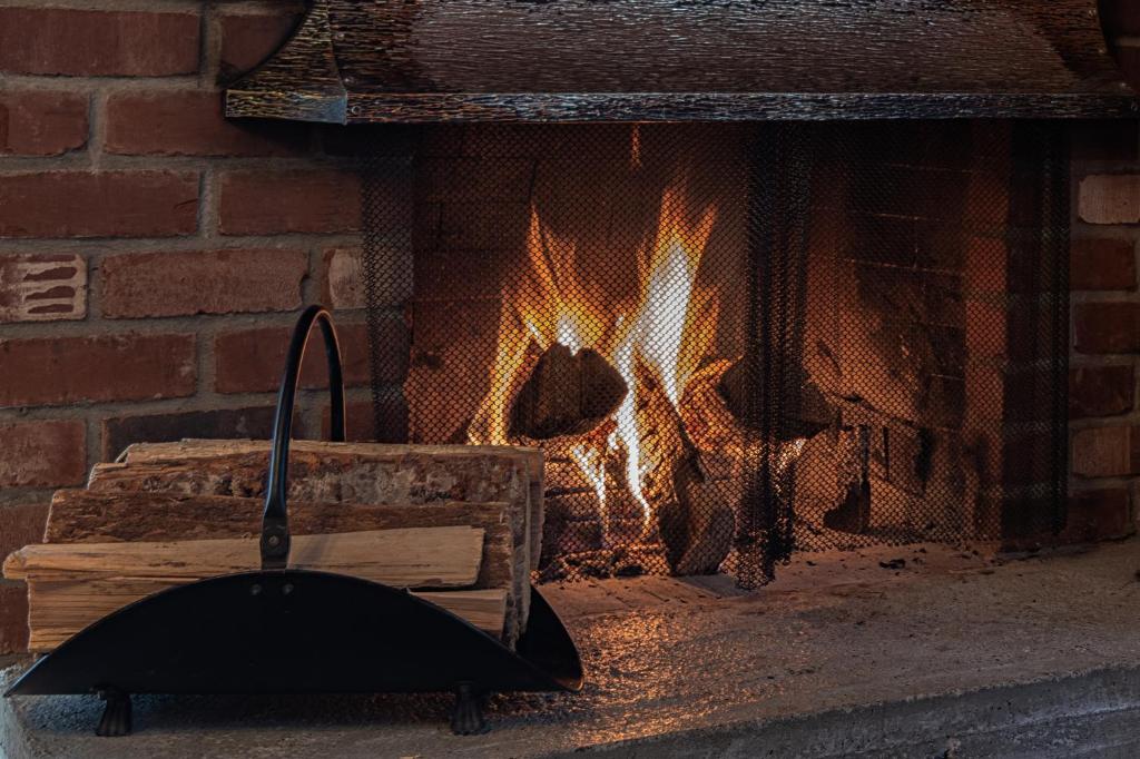 a brick oven with a fire in it at Cusheon Lake Resort in Ganges