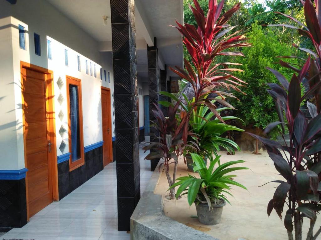 een binnenplaats met planten in een gebouw bij Setia Homestay in Karimunjawa