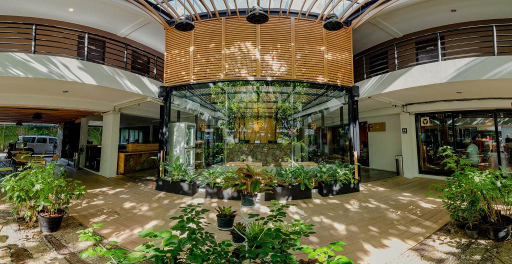 A bright, plant-filled hotel entrance with a glass atrium.