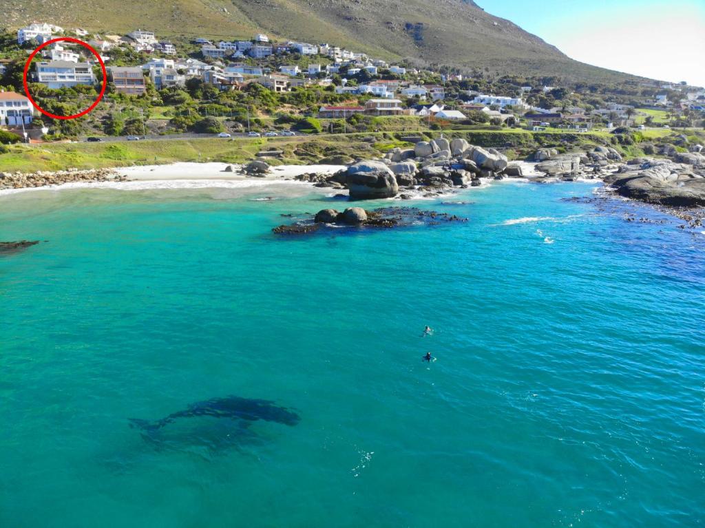 una balena che nuota nell'oceano accanto a una spiaggia di Roman Rock Apartments a Simonʼs Town