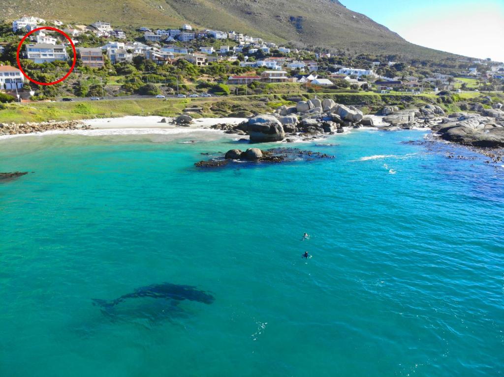 a whale swimming in the ocean next to a beach at Roman Rock Apartments in Simonʼs Town