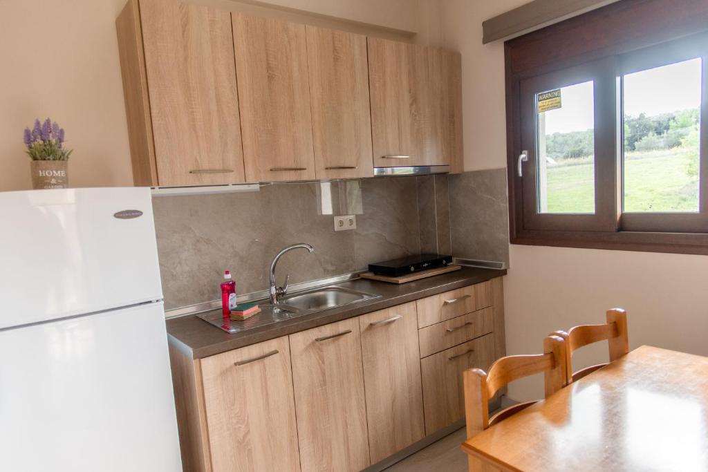 Kuchyňa alebo kuchynka v ubytovaní Villa Diamantis Apartments