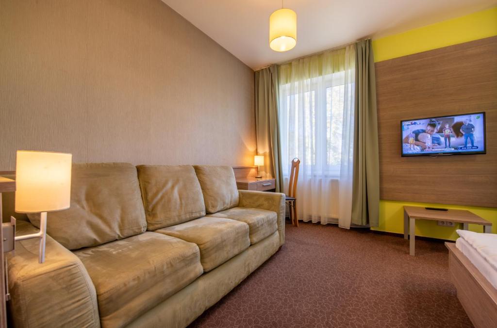 TV a/nebo společenská místnost v ubytování Hotel Lučivná