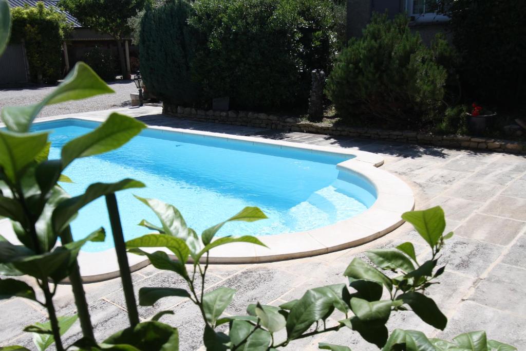 a small swimming pool in a yard with a plant at CLOS DE LA FONT in Mollégès