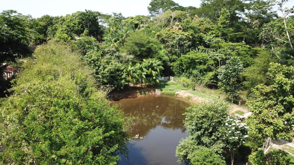 Vue aérienne d'une rivière dans une forêt dans l'établissement Recanto na Floresta, à Rio Branco