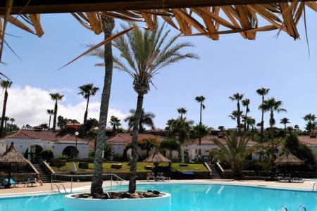 einen Pool mit Palmen in einem Resort in der Unterkunft Parque Golf 6 in Maspalomas