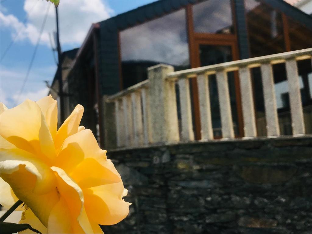 a yellow flower in front of a building at "Casa Do Avô Patrício" Mountain Experience in Parada