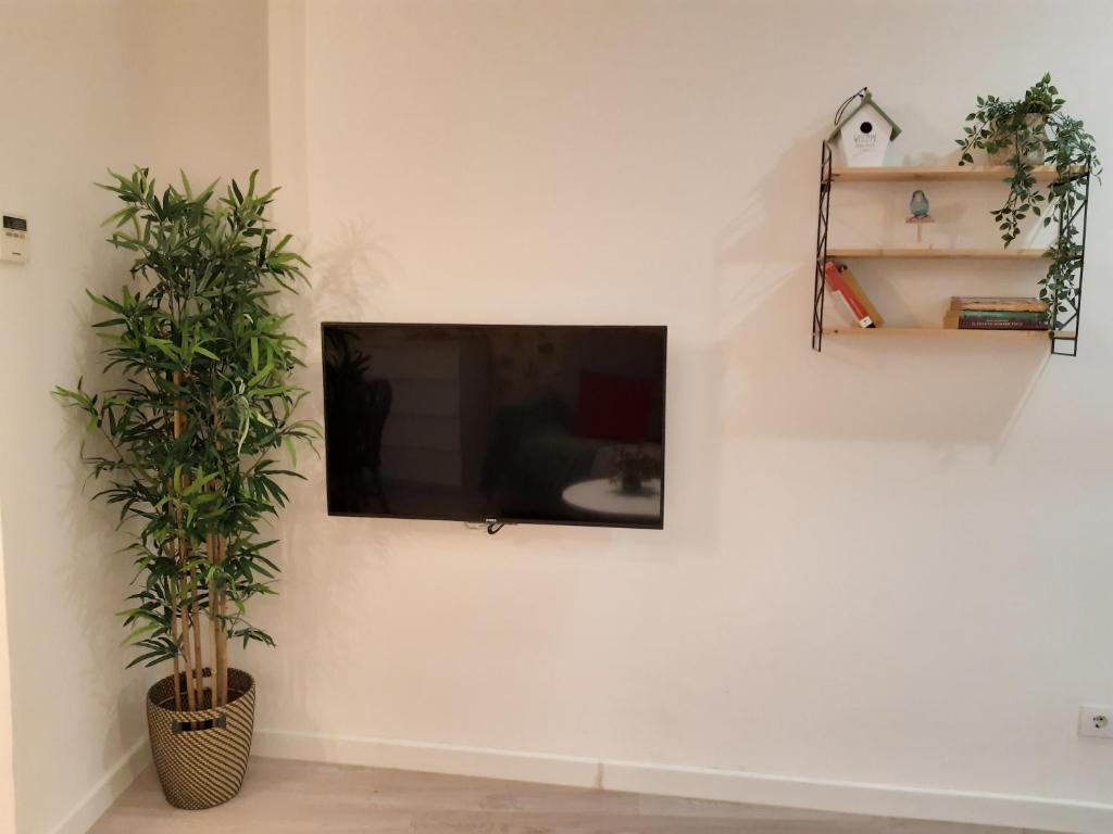 TV a/nebo společenská místnost v ubytování Malvaloca Quintero Plus