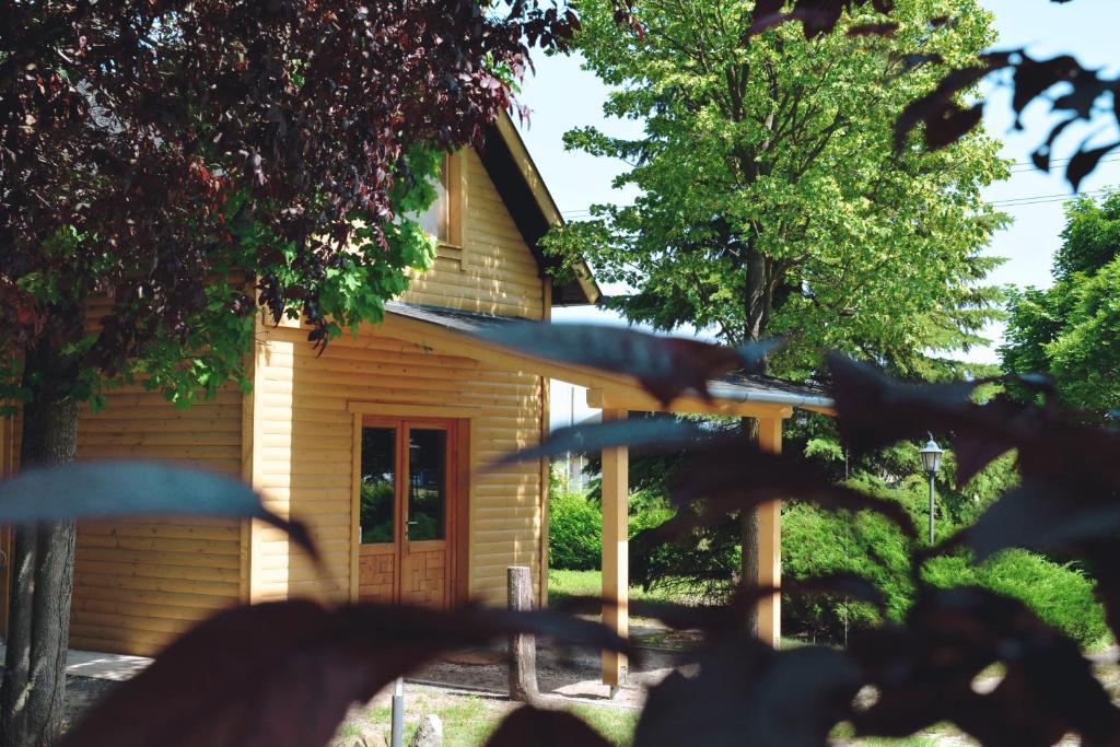 a small wooden house in a yard with trees at Matkó Airport és Élményközpont in Matkó