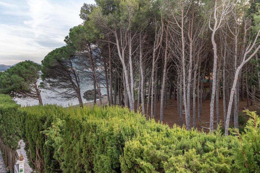 Príroda v okolí apartmánu