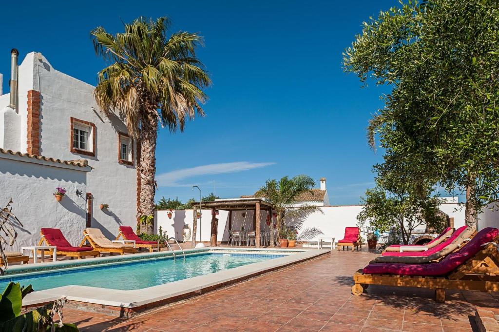 a swimming pool with chairs and palm trees next to a building at Apartamento Villa Mayo A in Conil de la Frontera