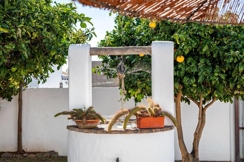 Cortijo Villa La Dehesa, Conil de la Frontera – Precios 2023 ...