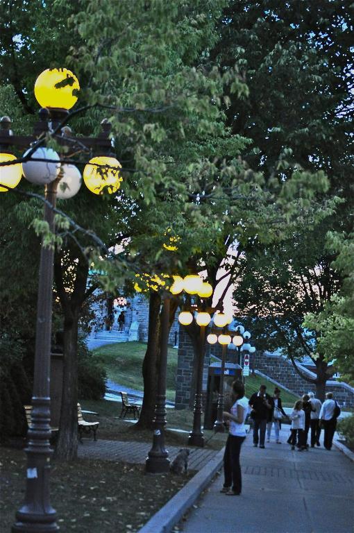 Hotel Manoir D'Auteuil - Par Aneyro - Resim 18