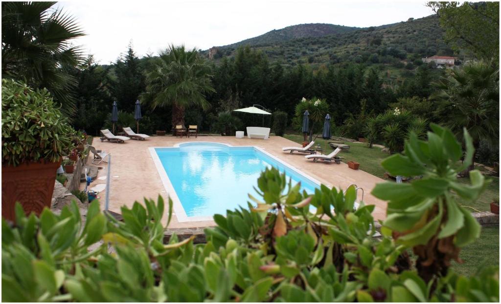 una piscina con tumbonas y una montaña en Villa Tresino B&B, en Santa Maria di Castellabate