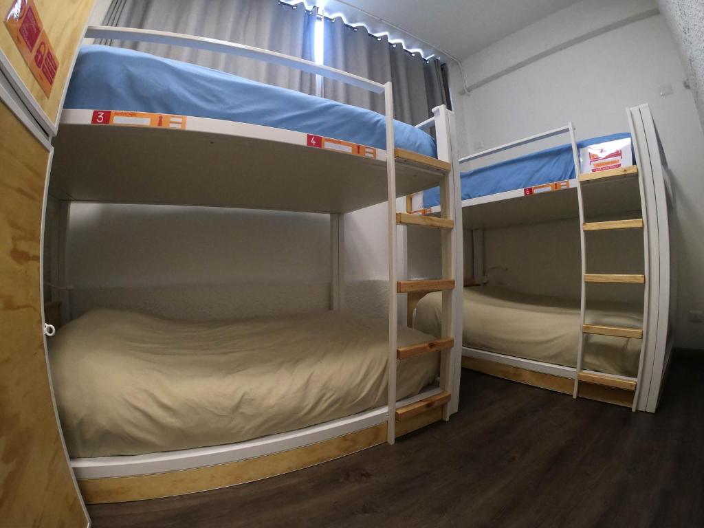 Palanda nebo palandy na pokoji v ubytování Pariwana Hostel Santiago