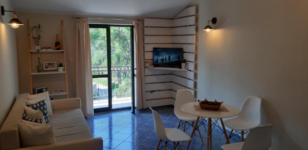 Apartments Vojvoda - 1