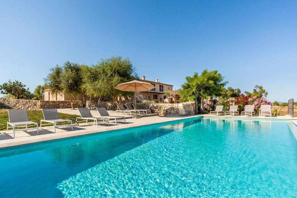 - une piscine avec des chaises longues et des parasols dans l'établissement Villa Turonet, à Vilafranca de Bonany