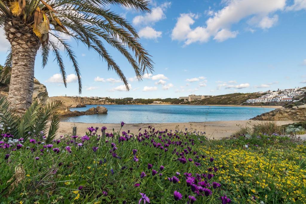 White Sands 4.20, Arenal den Castell – Updated 2023 Prices