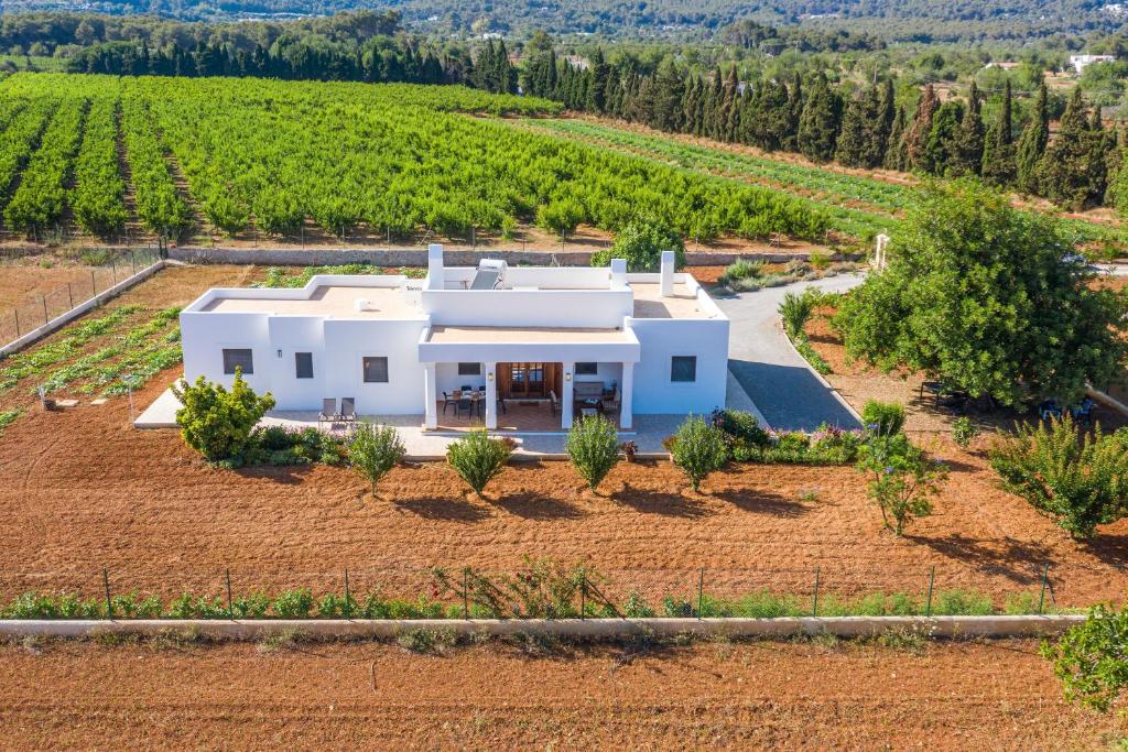 uma vista aérea de uma casa branca numa vinha em Casa Cristina Ibiza em Sant Carles de Peralta