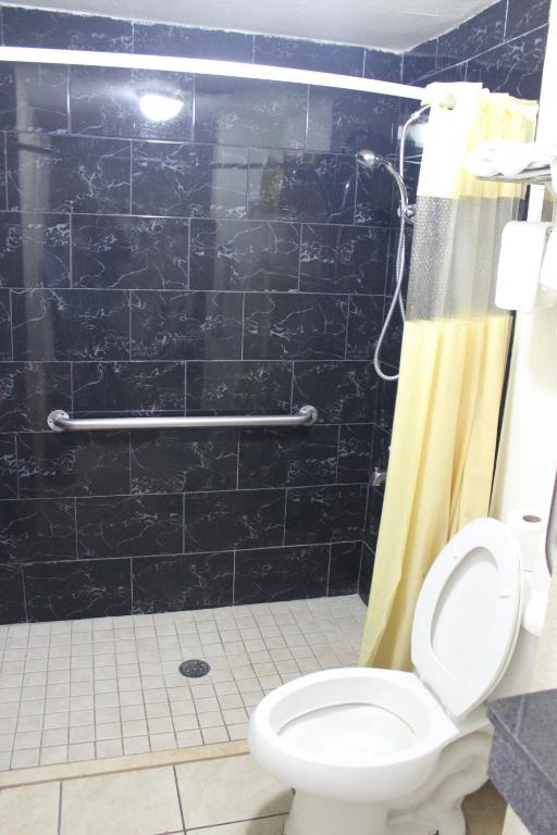 Tampa Inn Near Busch Gardens - 