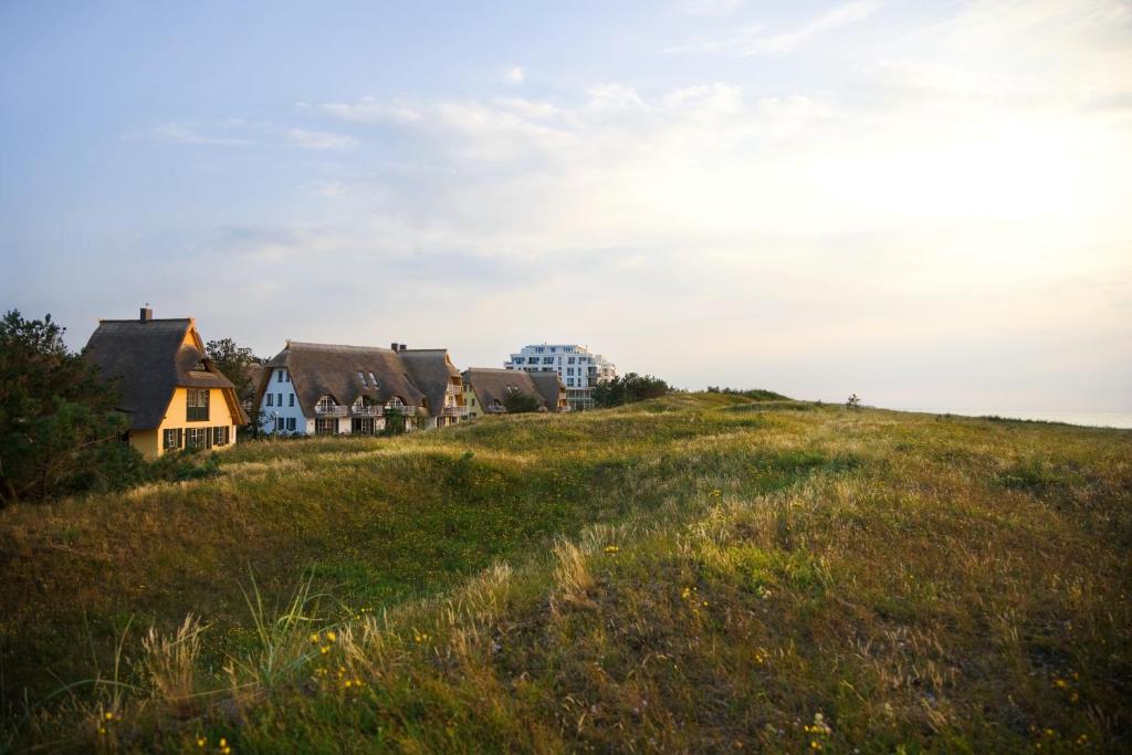 eine Gruppe von Häusern auf einem Grashügel in der Unterkunft Ferienwohnungen Dünenmeer in Dierhagen
