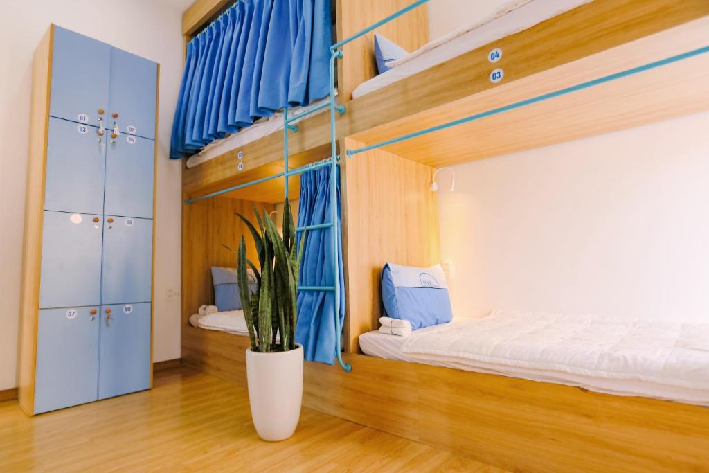 Tò Vò Hostel Huế - 12