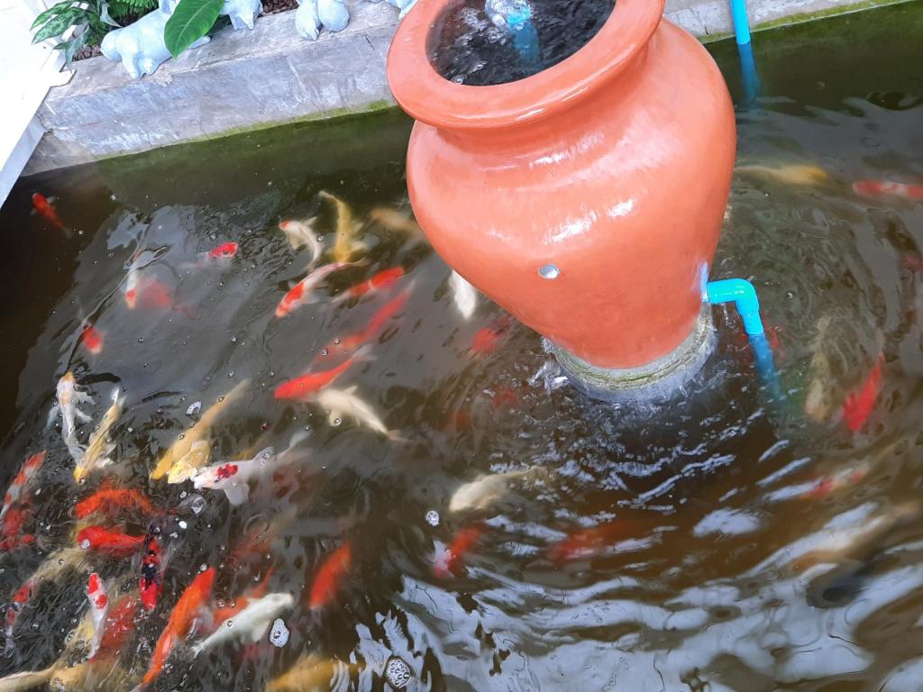 Fotografie z fotogalerie ubytování Fancy Carp Resort Hua-Hin v destinaci Hua Hin
