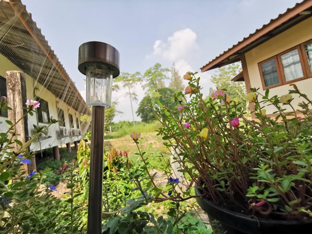 Jorakae Samphan Resort - 淋浴的单人间