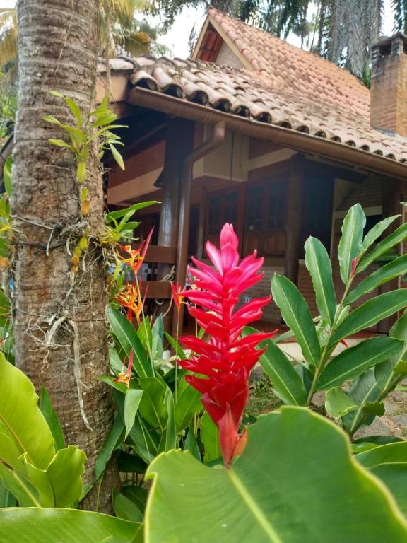  Casa com linda vista para o mar para amantes da natureza