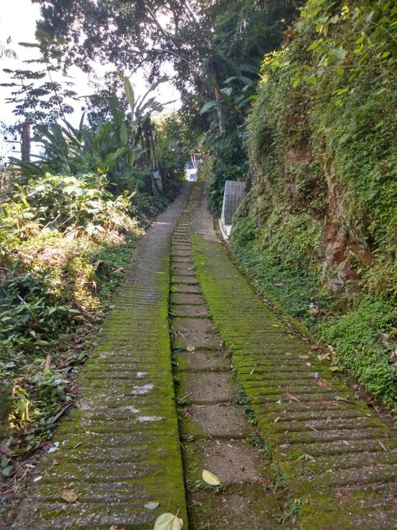  Casa com linda vista para o mar para amantes da natureza