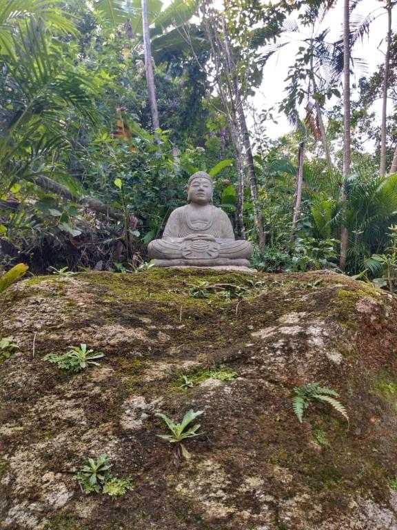  Casa com linda vista para o mar para amantes da natureza