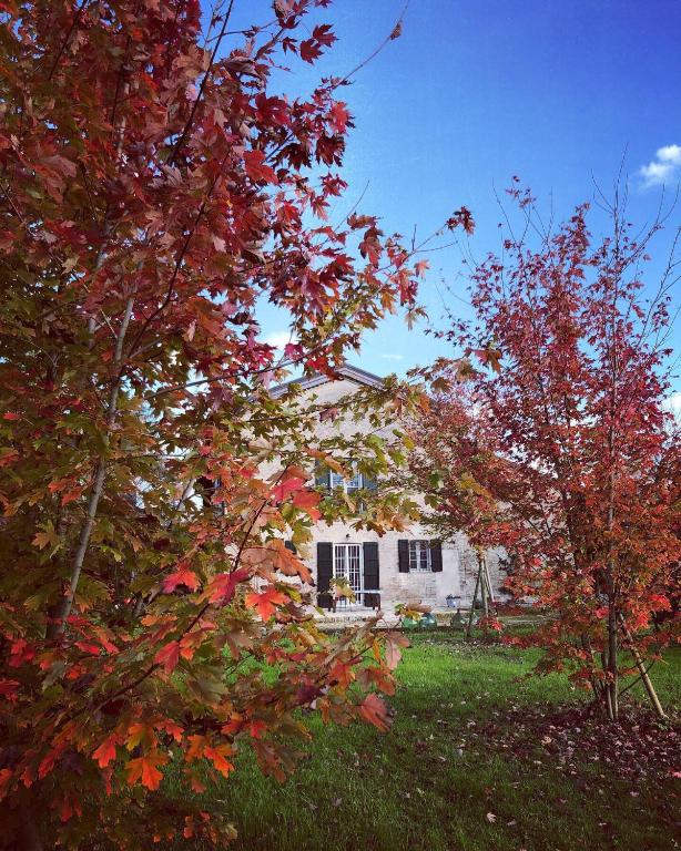 Zahrada ubytování B&B Podere Merlo