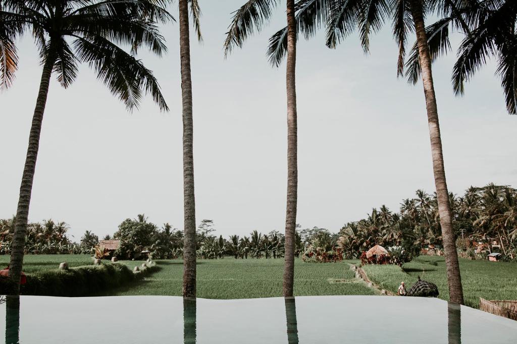 Un jardín fuera de MATHIS Retreat Ubud