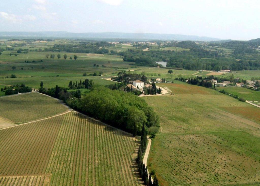 an aerial view of a field with trees at Château De Massignan in Saint-Marcel