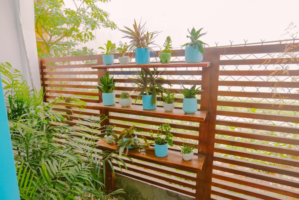 Tò Vò Hostel Huế - 5