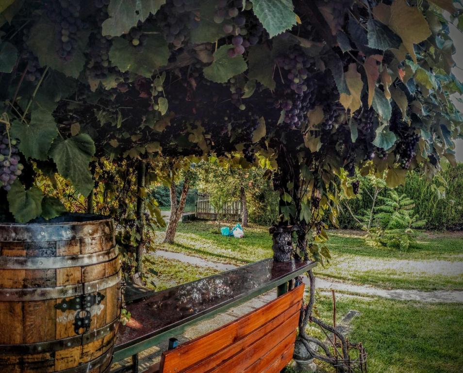Zahrada ubytování Takovski konak