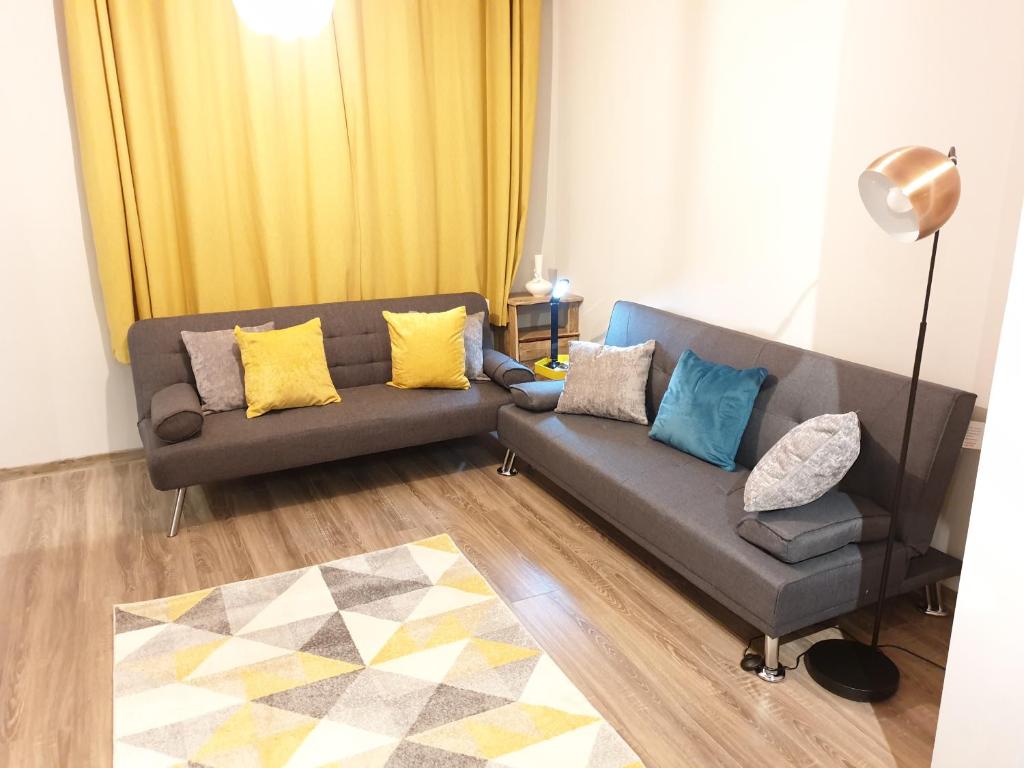 a living room with a gray couch with colorful pillows at Beautiful 2 Bedroom with BT Sports, WIFI and free parking in Birmingham