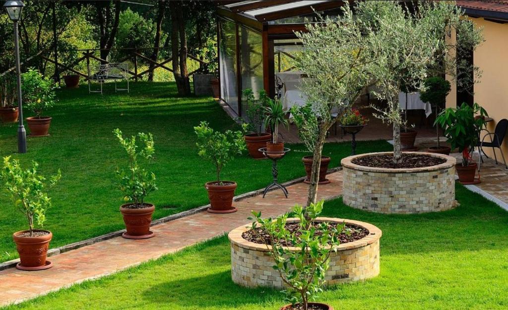 Zahrada ubytování Borgo Mandoleto - Country Resort & Spa