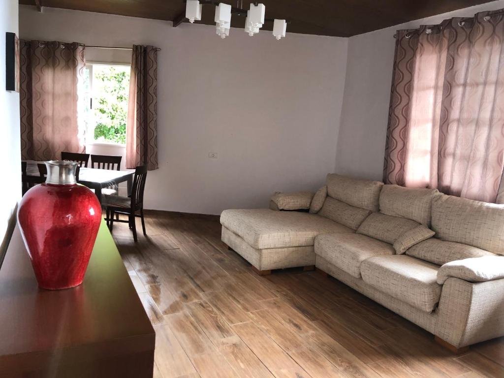 伊科德德洛斯維諾斯的住宿－Teide，客厅配有沙发和桌子