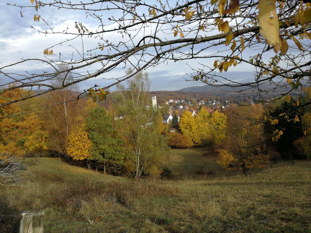 a field with trees and a town in the distance at Ravensbergblick - harzlich willkommen in Bad Sachsa in Bad Sachsa