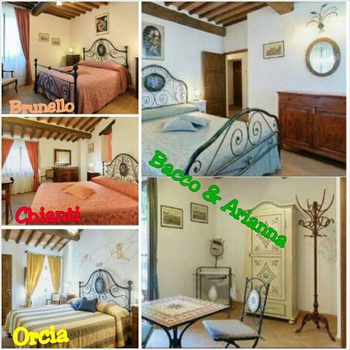 B&B Camere La Vite - 5
