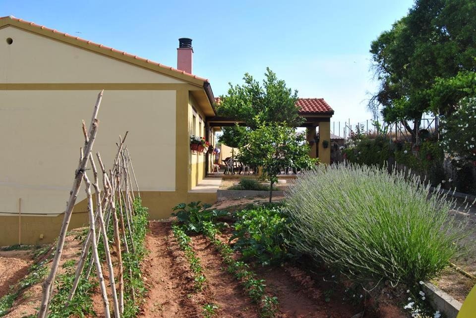 Fotografia z galérie ubytovania Apartamentos La Bodega del Abuelo v destinácii Bujalaro