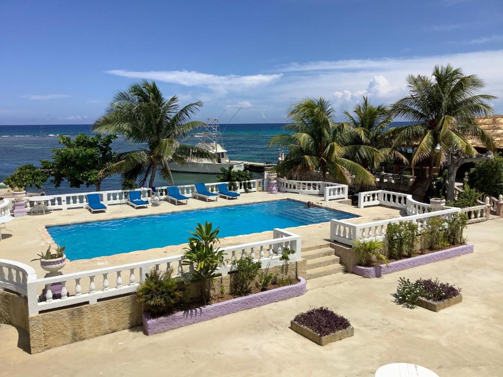 
Вид на бассейн в Cariblue Hotel & Scuba Resort или окрестностях
