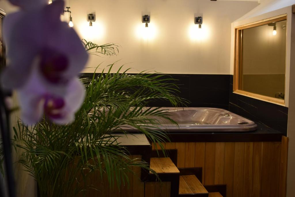 Fotografie z fotogalerie ubytování Bahus Inn v Bělehradě