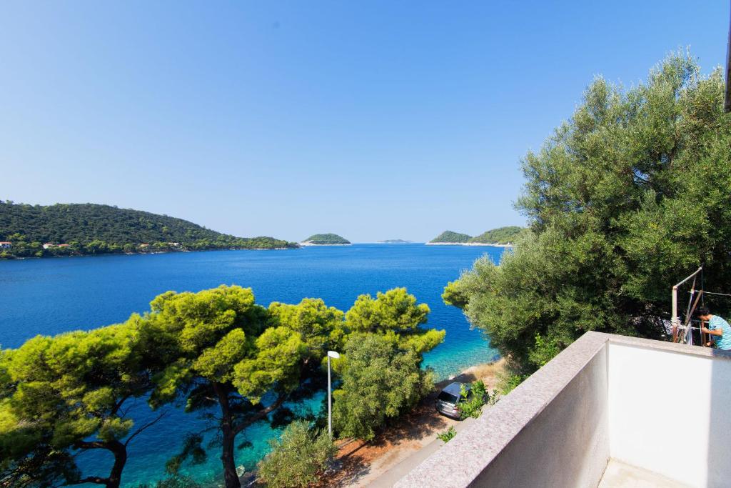 a view of a large body of water with trees at Apartment Matea in Ubli