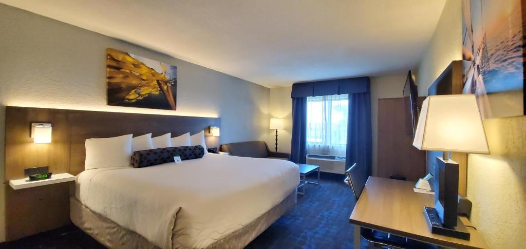 Best Western Plus Hollywood/Aventura - Cuarto King