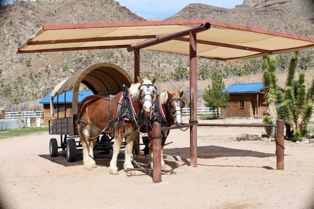 Hosté ubytování Grand Canyon Western Ranch