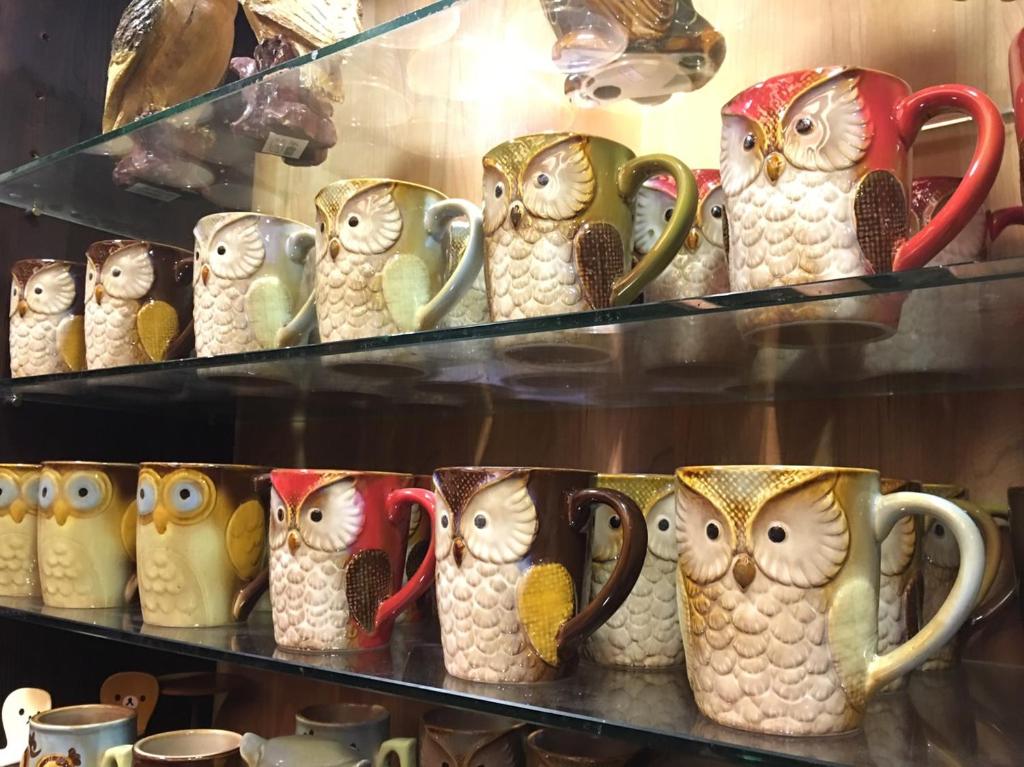 a group of owls are sitting on shelves at Yong Guan in Yuchi