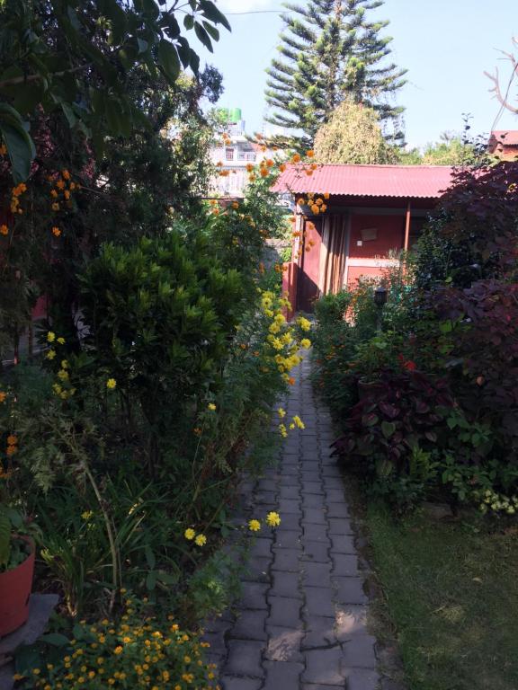 Jardí fora de Gurkha Lodge